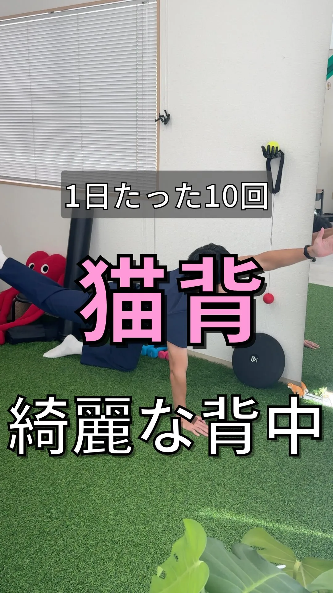 【１日たった10回｜綺麗な背中を手に入れる方法】