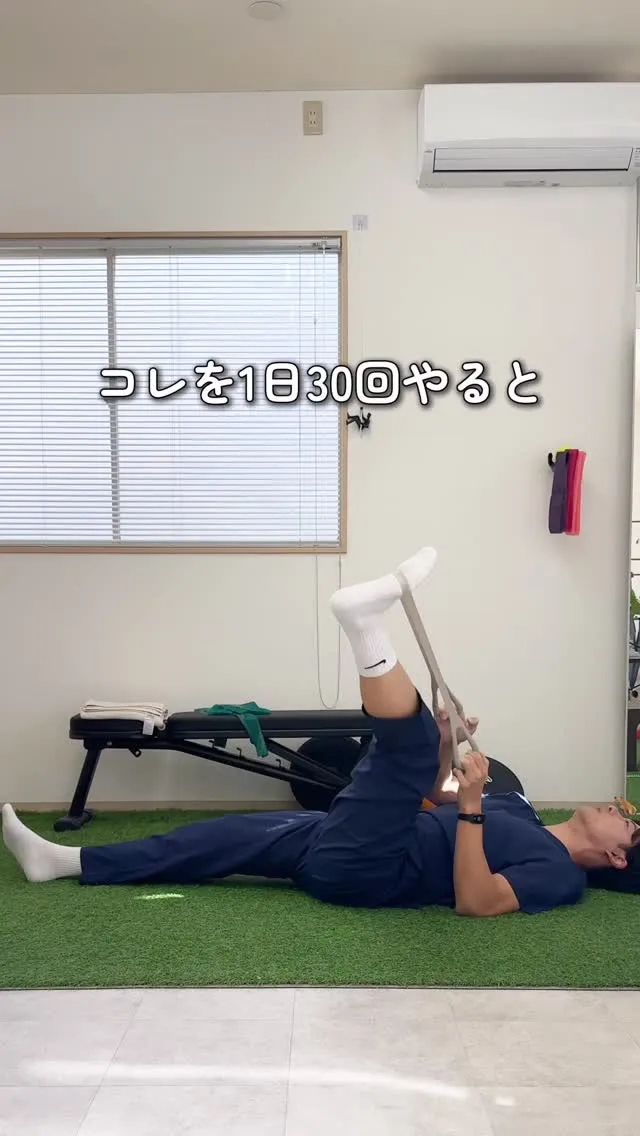 【股関節、肩こり、二の腕スッキリ、肩甲骨を動かす運動４選】